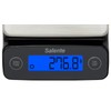 SALENTE DiamondCook Kitchen & Precision Decimal Scales 2-in-1
