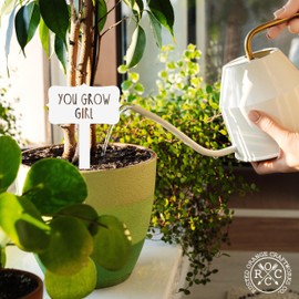 Humorous House Plant Stake - House Plant Markers, Funny Plant Signs for Succulent Flowers Greenery Plants Tags Steel Plant Labels Outdoor Indoor Garden Stakes for Potted Plant - 16 Options (5 Pack)