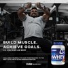 USN Blue Lab Whey Premium Protein Powder Chocolate Caramel 2kg