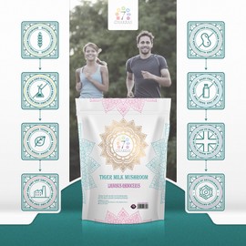 7C Tiger Milk Mushroom | 120 High Strength Tigers Milk Mushroom Supplement - 400mg Tigers Milk Mushroom Extract per Serving | Mushroom Capsules | Non-GMO Gluten Allergen Free | Manufactured in The UK