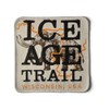 Ice Age Trail Patch - Wisconsin Hiker Gift