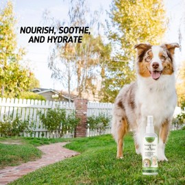 PET4U All-Natural Skin & Coat Spray for Cats and Dogs - Soothes Irritation, Promotes Healthy Skin, Reduces Shedding, and Enhances Shine - Gentle and Easy to Use Dog Moisturizer for Dry Itchy Skin