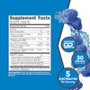 Ketologic- Polvo de Electrolito Keto (Frambuesa Azul) 30 Porciones Mezcla