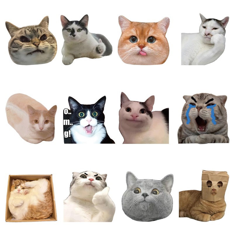 12Pcs Funny Cat Meme Fridge Magnets Cute Refrigerator Magnetic Stickers