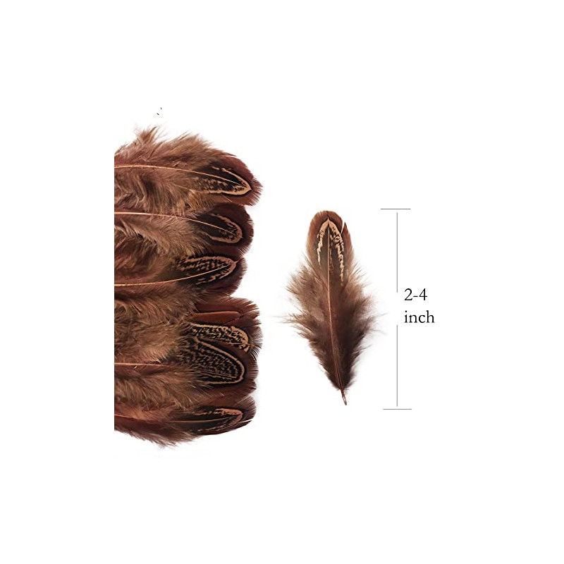 100 pcsHappy Feather Natural Pheasant Plumage Feathers 2-3 Inches Plumage