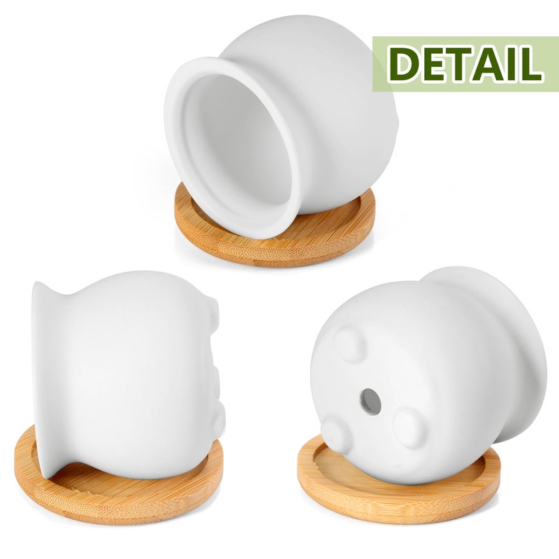 Remerry 12 Pcs 2.5 Inch Mini Succulent Pots with Bamboo