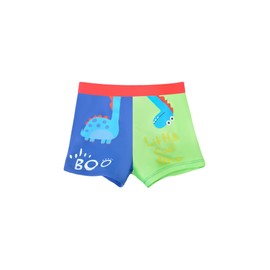 Boys Swimming Trunks Kids Swim Shorts Elastic Waist with Drawstring Little Boys Beachwear 2-16 Years (4-6 Years, LA651-BlueGreen)