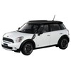 Hasegawa 1/24 Mini Cooper Countryman All4