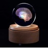3D Human Brain Anatomical Model Paperweight(Laser Etched) in Crystal Glass