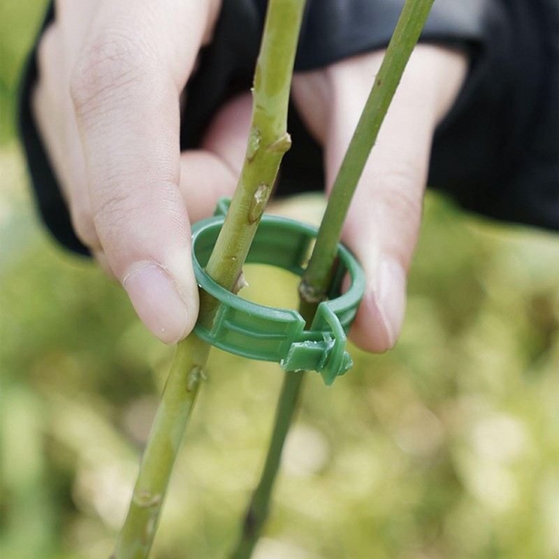 LSYYSL 6-Piece Plant Climbing Frame And 10-Piece Plant Clips, Plant