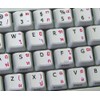 THAI-ENGLISH NON-TRANSPARENT KEYBOARD STICKER WHITE BACKGROUND