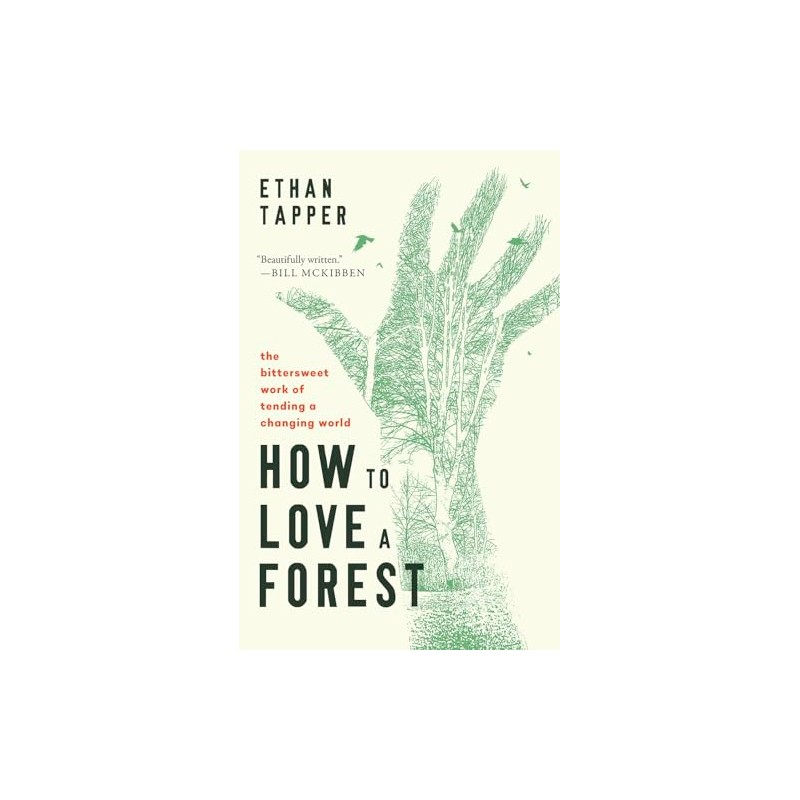 How to Love a Forest: The Bittersweet Work of Tending