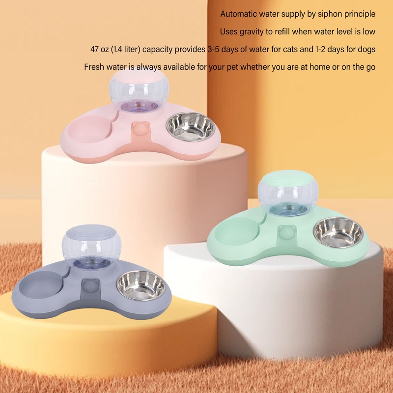 Double Cat Bowls Pet Food and Water Bowl Set Tilted