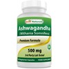 Best Naturals Ashwagandha Capsules for Relaxing Stress and Mood, 500 mg, 120 Count