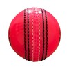 SPORTISH Senior Pink Incrediball Cricket Balls Pack of 3 Soft