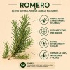 Shampoo Secreto Herbal con Extractos Naturales de Romero y Cola
