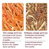 Dried Tangerine Peel Dried Orange Peel Strips 200g/7.05oz Orange Peel