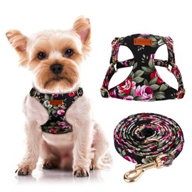 CHEDE No Pull Floral pattern Dog Harness- Lightweight and Soft Dog Harness, Adjustable Small Dog Harness and Leash Set, with Dog Leash, Suitable for Puppy Small and Medium-sized Dog (XS, Black Flower)