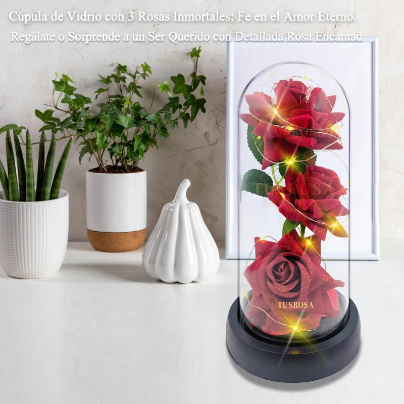 Día de San Valentín Regalos De Mujer Flores Eternas Camino
