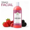 Tónico Facial Frutos Rojos 1L Productos Mart Mexico Con Vitaminas