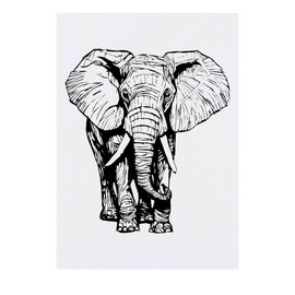 'Elephant' Temporary Tattoo - Water Resistant, Skin-Safe, Non-Toxic Transfer (TO00066511)