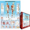 Eurographics - Jigsaw Puzzle 1000 Pieces - Human body