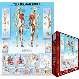 Eurographics - Jigsaw Puzzle 1000 Pieces - Human body