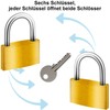 Diyife Brass Padlock 40 mm, Pack of 2, 6 Keys,