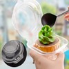 Single Clear Individual Cupcake Box-50 Plastic Single Individual Cupcake Containers
