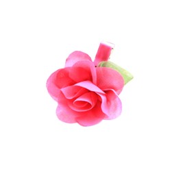 Rauoawby Toddler Little Princess Girls Necklace for Cosplay Moan a Party Costume Dress up with Flower Hair Clip
