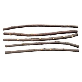 FarmerDavePetSupply 5 Apple PET Chews & Parakeet Bird PERCHES, 1/2" x 14"