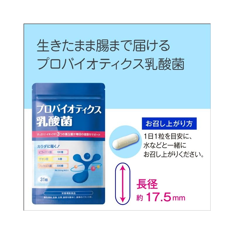 プロバイオティクス乳酸菌 31粒