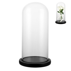 SHUESS Glass Bell with Black Wooden Base, 26 cm High Glass Dome Decoration, Glass Dome Transparent Glass Dome for Lights, Decoration, Home Accessory
