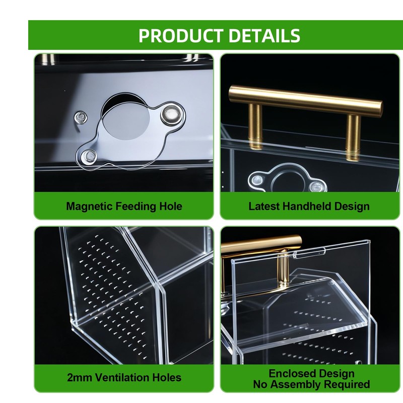 Jumping Spider Enclosure, Insect Terrarium, Praying Mantis Habitat, Reptile Enclosure,Spider