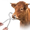 Long Handle Cattle Nasal Forceps Clip Nose Pliers Livestock Cow
