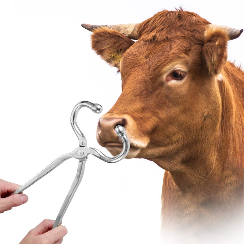 Long Handle Cattle Nasal Forceps Clip Nose Pliers Livestock Cow