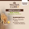 Wellness CORE+ Digestive Health Grain-Free Natural Wet Cat Food, Sensitive
