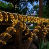 Solar Rope Lights, 66ft 200LED Solar String Lights, 8 Modes