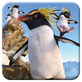 3D LiveLife Cork Coaster - Rockhoppers from Deluxebase. Lenticular 3D Penguin Coaster. Non-Slip Table Coasters Featuring Original Artwork by David Penfound. Ideal for Home Decor.