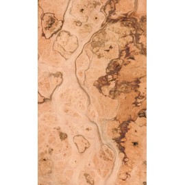 Pimento Pepperwood Burl Wood Veneer 5" x 10" raw no Backing 1/42" Thick # 82