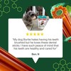 Omni Dental Sticks for Dogs - Dual Texture with PlaqBlast™