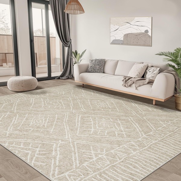 5x7 Area Rug for Living Room : Washable Rug Modern