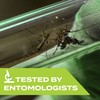 STEM Repels Mosquitoes: Mosquito Repellent Spray With Botanical Extracts; 4