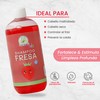 Shampoo De Fresa Kids Cero Lágrimas Productos Mart Mexico 500