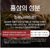 Red Ginseng Film Middle School Student Red Ginseng Ginsenoside 20