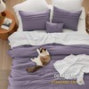 Bedsure Purple King Size Comforter Set - 4 Pieces Pinch
