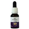 Living Essences Pink Everlasting 100ml