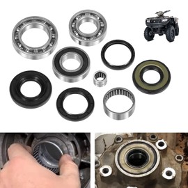 CTcar Rear Differential Bearing and Seal Kit for Suzuki Ozark 250 LTF250 2X4 2WD 2002-2014