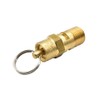 Interstate Pneumatics V125-4 ASME Brass Safety Valve w/Pull Ring 1/4