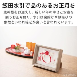 &NE NMH-365-RD Mizuhiki Iida New Year's Decoration, Plaque, Red & White, W6.7 x D1.2 x H4.7 inches (17 x 3 x 12 cm), Made in Japan, Water Ornament, Frame, Lucky, Figurine, Entryway, Compact, Modern